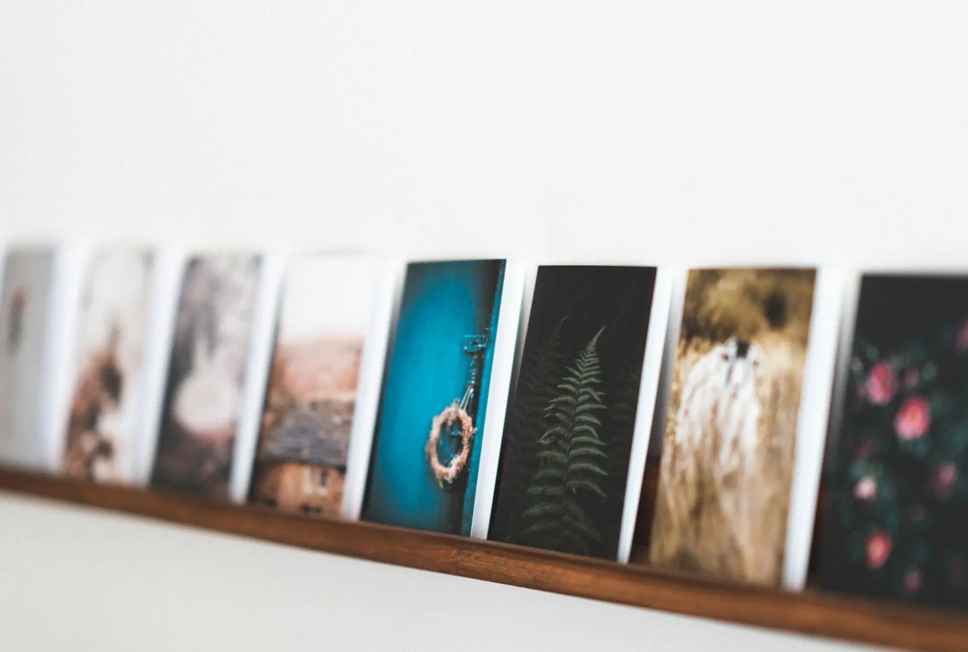 annie spratt ZdZa2 E1MBI unsplash