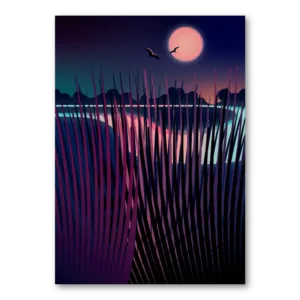Calm Night