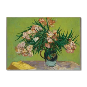 Oleanders