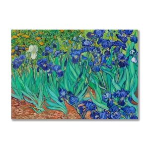 Irises