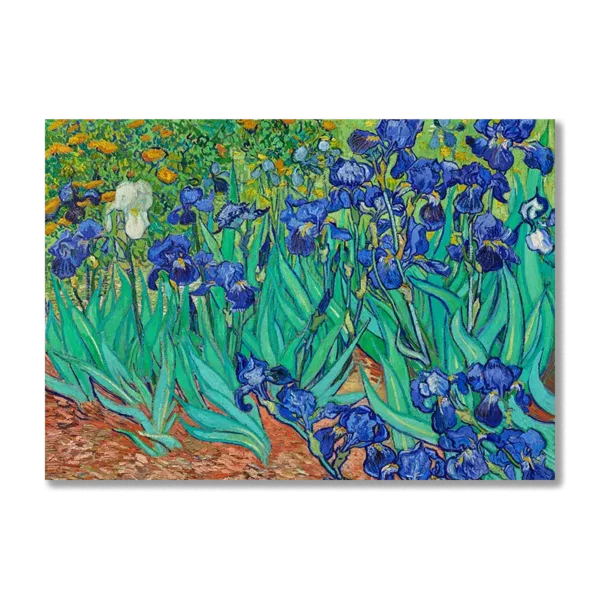 WA15P04 Irises