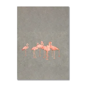 Flamingoes Study