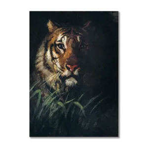 Tiger's Head