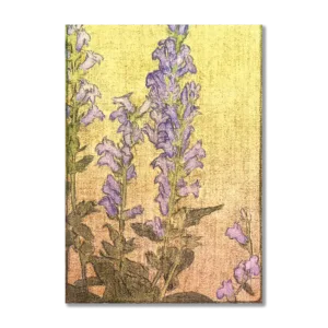 Delphinium