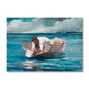 The Water Fan