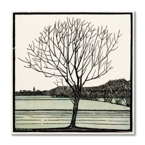 Bald Tree