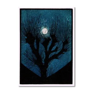 Moon Light