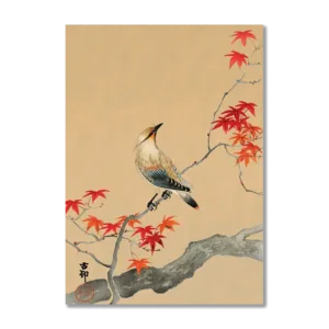 Bird on Maple