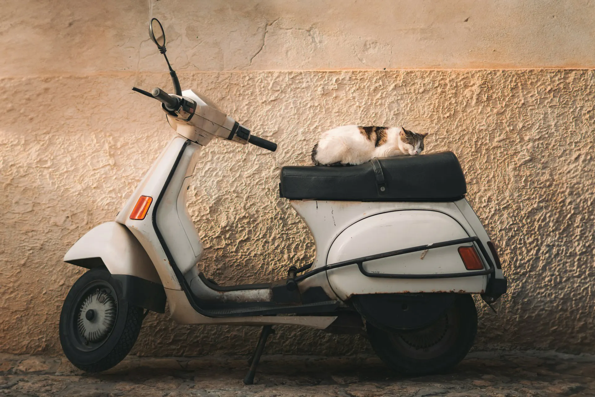 vintage posters wall art collection thumbnail